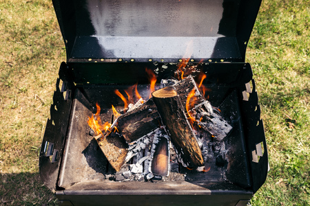 Backcountry Gourmet: 5-Star Campfire Dinner Recipes for Serious Foodies