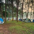 Creating a Pet-Friendly Camping Checklist for Large Groups