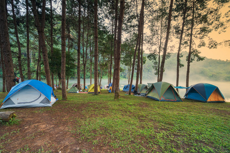 Creating a Pet-Friendly Camping Checklist for Large Groups