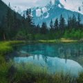 How to Evaluate the Environmental Impact of Your Camping Gear
