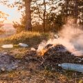 Must-Have Gear for a Pet-Friendly Group Camping Trip