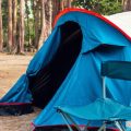 Winter Camping for Beginners: Everything You Need to Know to Get Started