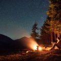Creating a Wildlife-Friendly Campsite: Do’s and Don’ts for Nature Respect