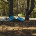 Eco-Friendly Beach Camping: Leave No Trace on America’s Coastlines