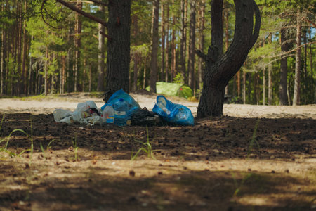 Eco-Friendly Beach Camping: Leave No Trace on America’s Coastlines