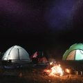 Celebrity-Owned Glamping Resorts and Their Impact on Luxury Ecotourism