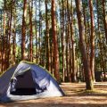 Knife Laws in the U.S.: What Campers Need to Know by State