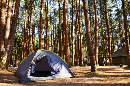 Knife Laws in the U.S.: What Campers Need to Know by State