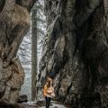 Mastering Wilderness Survival Skills: Firebuilding, Shelter, and Water Procurement