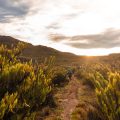 Dispersed Camping in the American Southwest: A Regional Guide