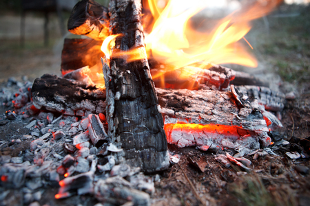 Smoked Sausages Around the Campfire: Recipes with a Southern Twist