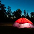 How to Pack Food Efficiently for Camping: Cooler Organization and Beyond
