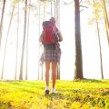 Packing Smart for Different Seasons: What Beginners Should Know
