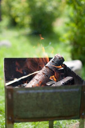 Fire & Fun: How to Involve the Whole Family in Outdoor Dessert Cooking