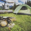 How to Navigate and Stay Safe When Lost in the Woods