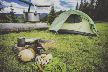 How to Navigate and Stay Safe When Lost in the Woods