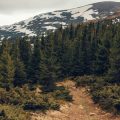 Olympic National Park Camping Adventures: Rainforest, Mountains, and Beach All In One