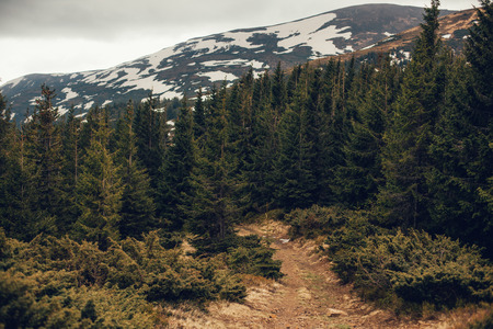 Olympic National Park Camping Adventures: Rainforest, Mountains, and Beach All In One