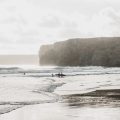 Pacific Coast Highway Beach Camping Itinerary: Road Trip and Camp from San Diego to Seattle