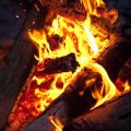 The Role of Campfires in Ethical Wildlife Interaction and Fire Prevention