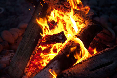 The Role of Campfires in Ethical Wildlife Interaction and Fire Prevention