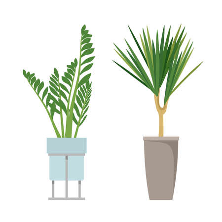 Avoiding Poisonous Plants and Insects: A Beginner’s Safety Guide