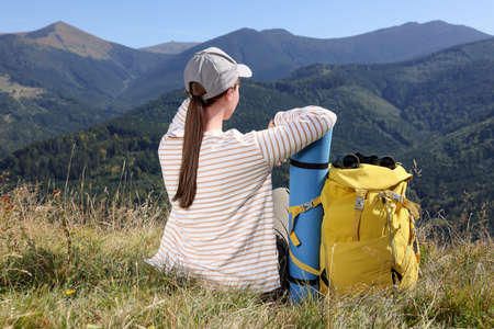 Seasonal Wildlife Behavior and How It Affects Ethical Camping Practices