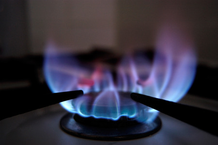 Propane, Butane, or Multi-Fuel: Choosing the Right Fuel for Your Camp Stove