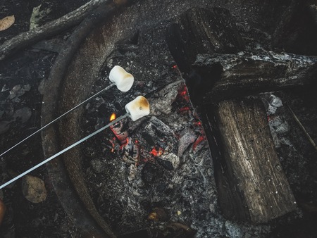 First Aid for Families: How to Prepare for Medical Emergencies at Camp
