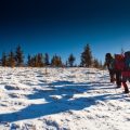 Cross-Country Ski Camping: A Winter Adventure for Outdoor Enthusiasts