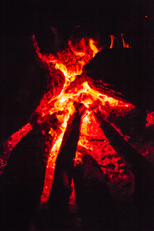 Creative Foil Packet Recipes for Campfires, Grills, or Coals