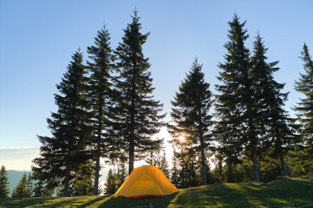 The Pros and Cons of Dispersed Camping vs. Campgrounds