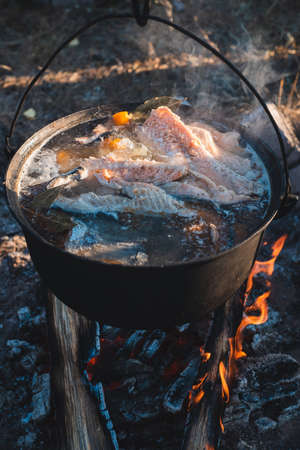 Vegetarian and Vegan Dutch Oven Recipes for Outdoor Adventures