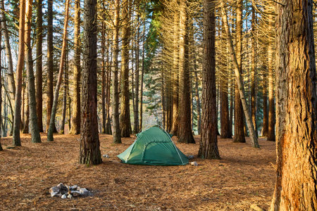 First-Time Camping Alone? How to Pick a Campsite That Feels Secure