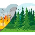 Weather Safety for Camping Beginners: Preparing for Rain, Wind and Heat