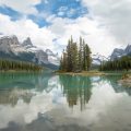 Wildlife Corridors and Campsite Selection: Staying Out of Nature’s Way