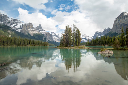 Wildlife Corridors and Campsite Selection: Staying Out of Nature’s Way