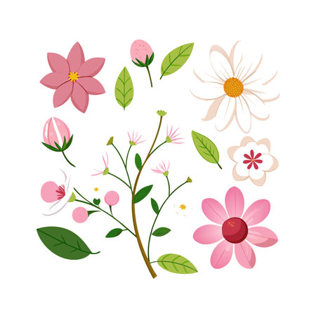 Top Wildflower Species to Look For