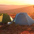Backpacking With Dogs in National and State Parks: Rules and Tips