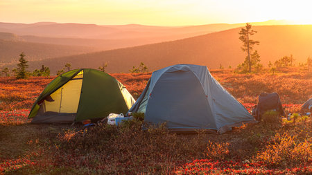 Backpacking With Dogs in National and State Parks: Rules and Tips