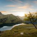 Eco-Friendly Glamping: Sustainable Luxury in the Wild
