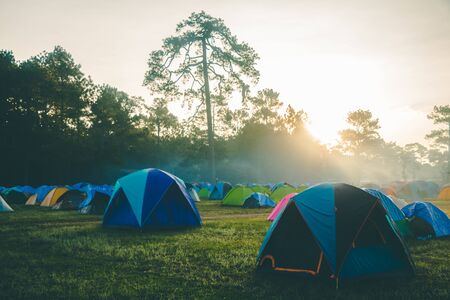 How Weather, Terrain, and Wildlife Impact Your First Campsite Choice