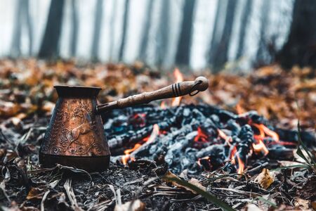 The Art of Campfire Baking: Bread, Cakes, and More in the Wild