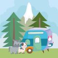 Preparing Your Camping Gear After Winter Storage for Spring Adventures