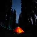 Veterans Day Weekend Camping: Honoring Service in the Great Outdoors