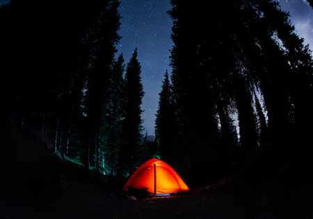 Veterans Day Weekend Camping: Honoring Service in the Great Outdoors