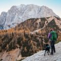 Camping Etiquette for Families with Pets in Public Campgrounds
