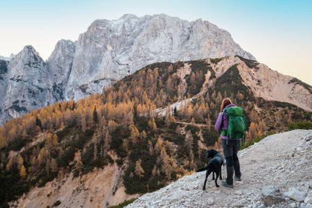 Camping Etiquette for Families with Pets in Public Campgrounds