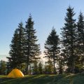 Budget-Friendly Meal Planning for Your Next Camping Adventure