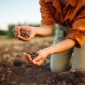 The Best Biodegradable Camping Products That Actually Work